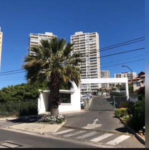 Una palmera en un estacionamiento con edificios altos. en Descanso y Comodidad absoluta en el mejor sector, en Concón