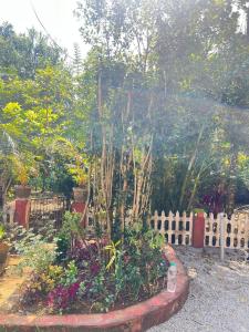 Un jardín con un árbol en medio de una valla. en Hill view single apartment, en Jāmb