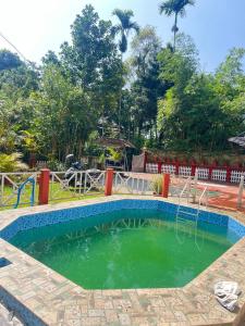 Un charco de agua verde en un patio con árboles. en Hill view single apartment, en Jāmb