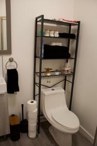 a bathroom with a white toilet and a shelf at Studio - Cozy Downtown Hideaway in Sudbury