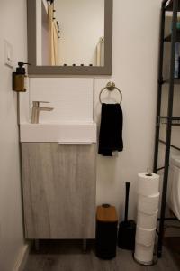 a bathroom with a sink and a mirror at Studio - Cozy Downtown Hideaway in Sudbury