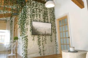 TV a/nebo společenská místnost v ubytování Light filled zen 3BR Penthouse - 7 min to Westport + 19 fotografií