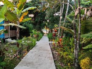 Un jardín fuera de Casa Maya