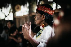 Hosté ubytování Sacha Wasi - Jungle Medicine Community