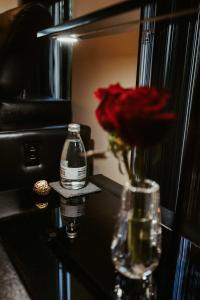 a red rose in a vase on a table at Amarè Beachside Luxury in Turners Beach +113 photos