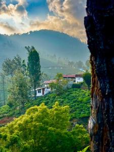 Naturlandskabet i nærheden af vandrehjemmet