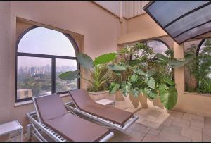 two chairs and plants in a room with windows at Apart Hotel Itaim Bibi in São Paulo