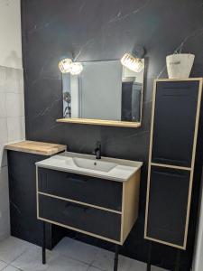 un baño con lavabo y espejo en Appartement dans haras, en Saint-André-le-Puy