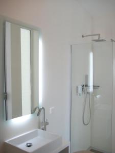Koupelna v ubytování Legrenzi Rooms