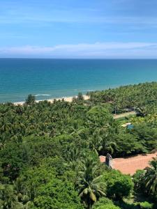 een luchtzicht op het strand en de palmbomen bij baya sea view apartment in Xinshi +53 foto's
