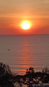 Phong cảnh thiên nhiên gần nhà khách