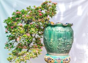 Zahrada ubytování Bonsai Villa Hoi An