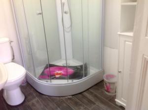 a bathroom with a shower with a pink pillow in it at Gouarec Bed & Breakfast in Gouarec