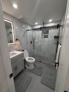 un bagno con doccia, WC e lavandino di Pelham parkway North a Baychester