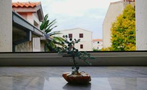 Fotografia z galérie ubytovania Apartment Sunce v destinácii Kaštela