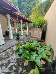 a patio with a bunch of plants in a garden at Hilltop Haven in Mirissa