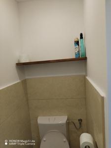 Phòng tắm tại Grany's Retro Guesthouse near Budapest AirPort