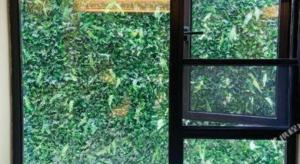 Κήπος έξω από το 7 Days Premium Suzhou Mudu Ancient Town