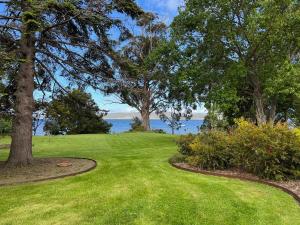 a green yard with trees and the water in the background at wyeangta - Woodbridge Waterfront Retreat in Woodbridge