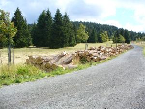 Příroda nedaleko apartmánu