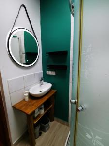 a bathroom with a sink and a mirror at Leszczynowy Sad - apartament z kominkiem i ogrodem in Wydminy +17 photos