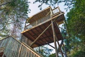 赫卢赫卢韦The Grand Luxury Safari Villa, Huge Private Pool, Hot tub, Outdoor Shower, Giraffe Tower, Free Standing Bath, Private Game Reserve, Stargazing, Ultimate Bush Luxury的森林中的一个树屋