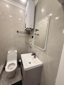 Aport Villa في بوستيري: حمام مزود بمرحاض ومغسلة ومرآة