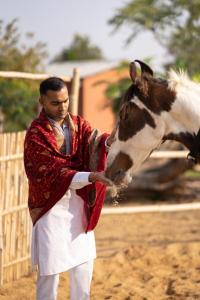Animale la sau în apropiere de acest hotel +32 fotografii