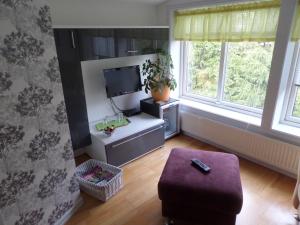 TV a/nebo společenská místnost v ubytování Skogis Bed & Breakfast