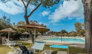 - une piscine avec chaises longues et parasols dans l'établissement Camping Village Costa Est, à Riotorto
