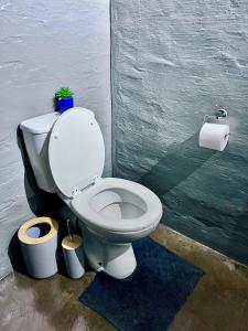 a white toilet with two rolls of toilet paper at Craftsmanship 340 IMD in Johannesburg +18 photos