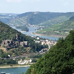 a view of a river and a town on a hill at Landgasthof Germania in Rüdesheim am Rhein