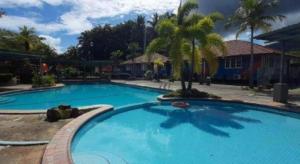 a large blue swimming pool with a palm tree at Global Ikhwan Resort in Langkawi Islands