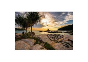 Un paisaje natural cerca de la villa 14 fotos más