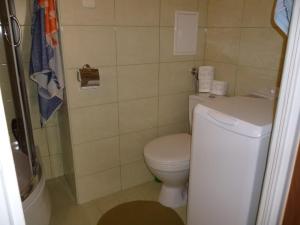 a small bathroom with a toilet and a shower at Apartament Andre in Gdynia +3 photos