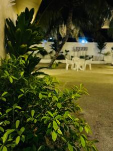 Φωτογραφία από το άλμπουμ του Vegas Thoddoo Maldives Extension σε Thoddoo +2 φωτογραφίες