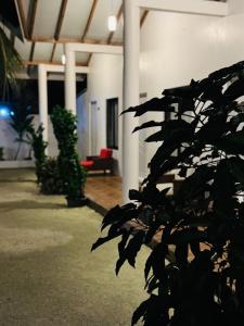 Imagine din galeria proprietății Vegas Thoddoo Maldives Extension în Thoddoo +2 fotografii