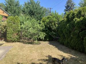 Fotografie z fotogalerie ubytování Dombi-Lak v destinaci Tiszakécske