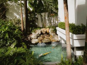 a garden with a waterfall and a koi pond at Townhouse PK Garden in Bangkok
