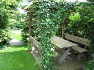 a wooden bench covered in ivy in a garden at Gabis-ferienwohnung in Schwörsheim