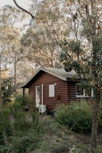 Werriberri في Medlow Bath: كابينة صغيرة في الغابة مع الأشجار