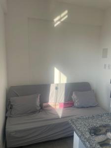 a couch sitting in a room with two pillows at Flat 2 ao lado da UFSJ e Igreja São Francisco in São João del Rei