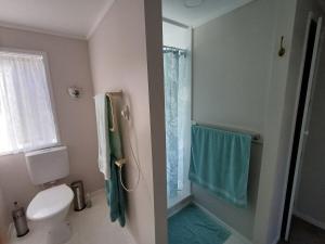 a bathroom with a toilet and a shower with blue towels at Driftwood Sands 3 Brm in Tairua +21 photos