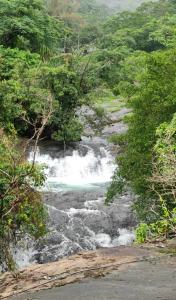 Природа в окрестностях варианта проживания в семье