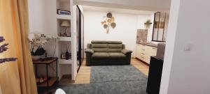 a living room with a green chair and a couch at Studiou Elena in Lupeni