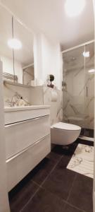 a bathroom with a shower and a toilet and a sink at Studiou Elena in Lupeni