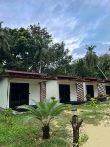 Kohmook Timberland Resort from Seaview في كو موك: منزل أمامه نخلة +5 صور