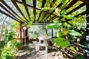 een tuin met een tafel en een pergola bij Apartments Breza in Razvala