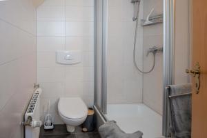a bathroom with a toilet and a shower at Ferienwohnung Krabbe in Manslagt