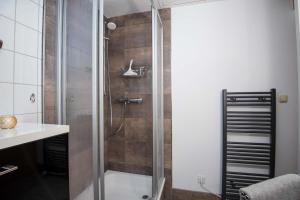 a shower with a glass door in a bathroom at Ferienwohnung Hummer in Manslagt